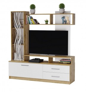 ДАРЬЯ Центральная секция Гостиная (Крафт серый/Крафт белый) в Кировграде - kirovgrad.mebel24.online | фото