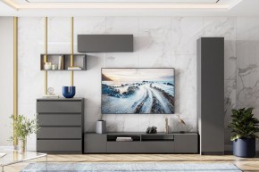 ДЕНВЕР Пенал (Графит серый) в Кировграде - kirovgrad.mebel24.online | фото 4
