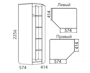 Детская Фанк Шкаф угловой Левый/Правый НМ 013.04-02 М в Кировграде - kirovgrad.mebel24.online | фото 3