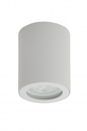 DK3007-WH Накладной светильник влагозащ., IP 44, 15 Вт, GU10, белый, алюминий в Кировграде - kirovgrad.mebel24.online | фото 1