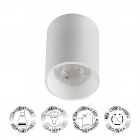 DK3110-WH Светильник накладной IP 20, 10 Вт, GU5.3, LED, белый, пластик в Кировграде - kirovgrad.mebel24.online | фото 1