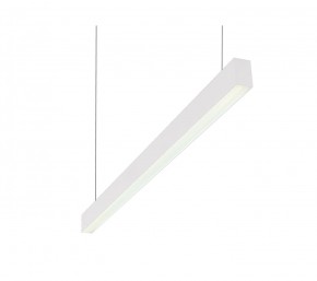 DK9124-WH Линейный светильник 30W 1250mm 4000K, белый в Кировграде - kirovgrad.mebel24.online | фото 1
