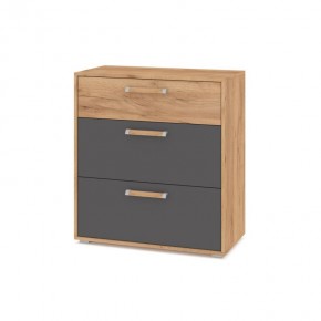 ФЛОРИДА Ф41 Комод (дуб золотой/графит) в Кировграде - kirovgrad.mebel24.online | фото