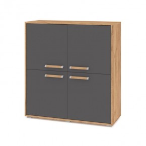 ФЛОРИДА Ф43 Комод (дуб золотой/графит) в Кировграде - kirovgrad.mebel24.online | фото