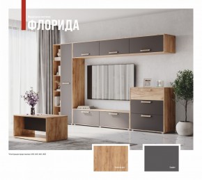 ФЛОРИДА Гостиная (модульная) дуб золотой/графит в Кировграде - kirovgrad.mebel24.online | фото