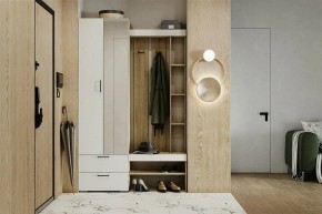 Гарнитур для прихожей Торонто в Кировграде - kirovgrad.mebel24.online | фото 5