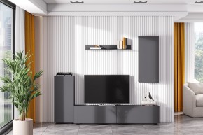 Гостиная МГС 10 (Графит) в Кировграде - kirovgrad.mebel24.online | фото 1