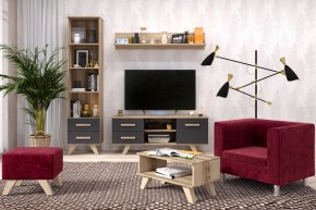 Гостиная Вега Скандинавия (комплект 5) в Кировграде - kirovgrad.mebel24.online | фото