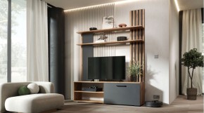 КАРОЛИНА Гостиная в Кировграде - kirovgrad.mebel24.online | фото
