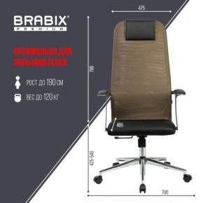 Кресло BRABIX PREMIUM "Ultimate EX-801" хром, плотная двойная сетка Х2, черное/коричневое, 532920 в Кировграде - kirovgrad.mebel24.online | фото 6