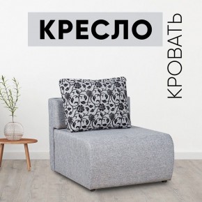 Кресло-кровать Нептун Аслан серый в Кировграде - kirovgrad.mebel24.online | фото