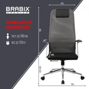 Кресло офисное BRABIX PREMIUM "Ultimate EX-801" хром, плотная двойная сетка Х2, черное/серое, 532918 в Кировграде - kirovgrad.mebel24.online | фото 5