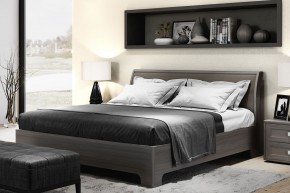Кровать-3 1600 экокожа Парма Нео в Кировграде - kirovgrad.mebel24.online | фото 3