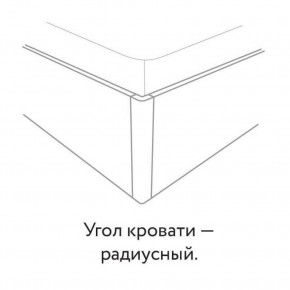 Кровать "Сандра" БЕЗ основания 1600х2000 в Кировграде - kirovgrad.mebel24.online | фото 3