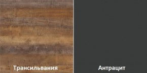 Кухонный гарнитур угловой Трансильвания 2400x1600 мм (Стол. 38 мм) Антрацит/Трансильвания в Кировграде - kirovgrad.mebel24.online | фото 3