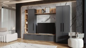 ЛЕВАНТЕ Гостиная в Кировграде - kirovgrad.mebel24.online | фото