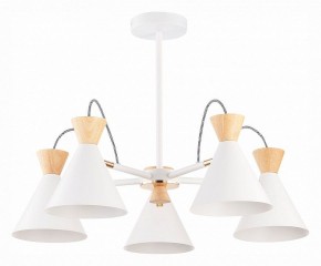 Люстра на штанге EVOLUCE Modica SLE125102-05 в Кировграде - kirovgrad.mebel24.online | фото 1