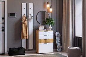 МЕБЕЛЬСОН К21 Прихожая в Кировграде - kirovgrad.mebel24.online | фото