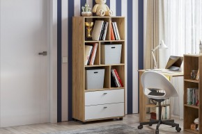МИЛАН Детская (Дуб Золотой/Белый матовый) в Кировграде - kirovgrad.mebel24.online | фото 53