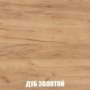 МСП-1 Шкаф 2-х створчатый (Дуб Золотой/Камень темный) в Кировграде - kirovgrad.mebel24.online | фото 4