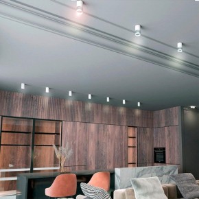 Накладной светильник Novotech Elina 370730 в Кировграде - kirovgrad.mebel24.online | фото 3