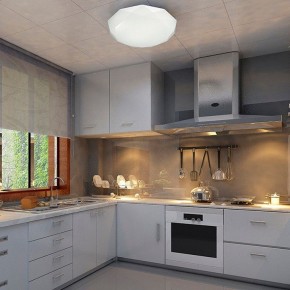 Накладной светильник Sonex Tora 2012/D в Кировграде - kirovgrad.mebel24.online | фото 4