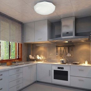 Накладной светильник Sonex Tora 2012/D в Кировграде - kirovgrad.mebel24.online | фото 5