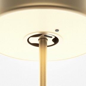 Настольная лампа декоративная Maytoni AI Collaboration MOD229TL-L3G3K2 в Кировграде - kirovgrad.mebel24.online | фото 5