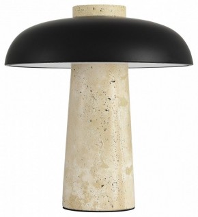 Настольная лампа декоративная ST-Luce Earthy SL1194.424.01 в Кировграде - kirovgrad.mebel24.online | фото