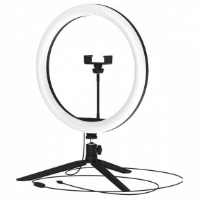 Настольная лампа кольцевая Gauss Ring Light RL003 в Кировграде - kirovgrad.mebel24.online | фото