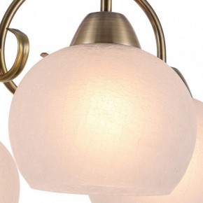 Подвесная люстра Arte Lamp Margo A9317LM-5AB в Кировграде - kirovgrad.mebel24.online | фото 2