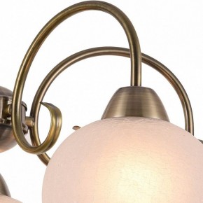 Подвесная люстра Arte Lamp Margo A9317LM-5AB в Кировграде - kirovgrad.mebel24.online | фото 3