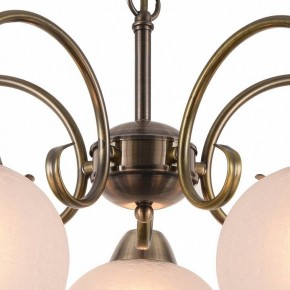 Подвесная люстра Arte Lamp Margo A9317LM-5AB в Кировграде - kirovgrad.mebel24.online | фото 4