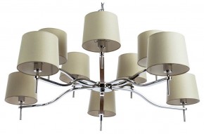 Подвесная люстра Divinare Soprano 1341/02 LM-10 в Кировграде - kirovgrad.mebel24.online | фото