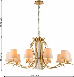 Подвесная люстра Favourite Ketten 2867-10P в Кировграде - kirovgrad.mebel24.online | фото 4