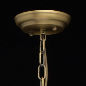 Подвесная люстра MW-Light Альгеро 3 285010703 в Кировграде - kirovgrad.mebel24.online | фото 14