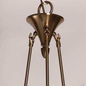 Подвесная люстра MW-Light Габриэль 12 491013421 в Кировграде - kirovgrad.mebel24.online | фото 9