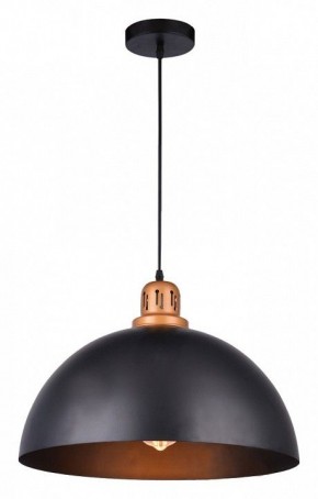 Подвесной светильник Arte Lamp Eurica A4249SP-1BK в Кировграде - kirovgrad.mebel24.online | фото 2