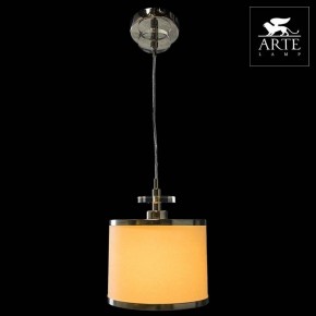 Подвесной светильник Arte Lamp Furore A3990SP-1CC в Кировграде - kirovgrad.mebel24.online | фото 3