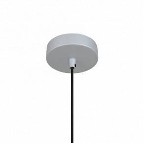 Подвесной светильник Favourite Otium 2270-1P в Кировграде - kirovgrad.mebel24.online | фото 4