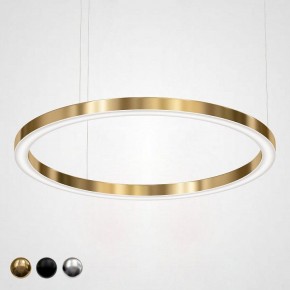 Подвесной светильник Imperiumloft Light Ring Horizontal 40.1454-120 в Кировграде - kirovgrad.mebel24.online | фото