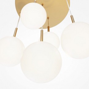 Подвесной светильник Maytoni Basic form MOD321PL-05G1 в Кировграде - kirovgrad.mebel24.online | фото 3