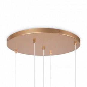 Подвесной светильник Maytoni Basic form MOD521PL-05G в Кировграде - kirovgrad.mebel24.online | фото 6