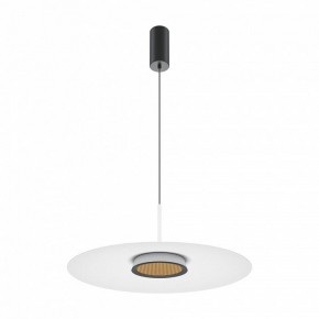 Подвесной светильник Maytoni Halo MOD041PL-L15W3K1 в Кировграде - kirovgrad.mebel24.online | фото 2