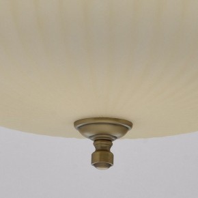 Подвесной светильник MW-Light Афродита 1 317010504 в Кировграде - kirovgrad.mebel24.online | фото 9
