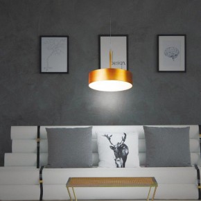 Подвесной светильник Novotech Prometa 358766 в Кировграде - kirovgrad.mebel24.online | фото 4