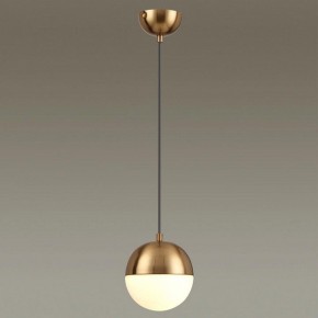 Подвесной светильник Odeon Light Pinga 4960/1 в Кировграде - kirovgrad.mebel24.online | фото 2