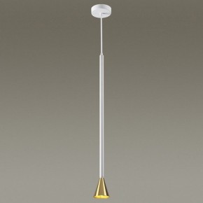 Подвесной светильник Odeon Light Pipa 3884/1GW в Кировграде - kirovgrad.mebel24.online | фото 3
