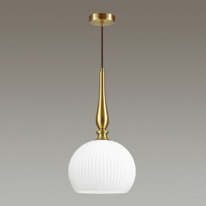 Подвесной светильник Odeon Light Runga 4766/1 в Кировграде - kirovgrad.mebel24.online | фото 4