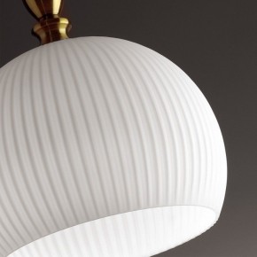 Подвесной светильник Odeon Light Runga 4766/1 в Кировграде - kirovgrad.mebel24.online | фото 8